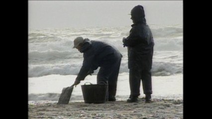 Veinte años del desastre ecológico provocado por el "Prestige" en España