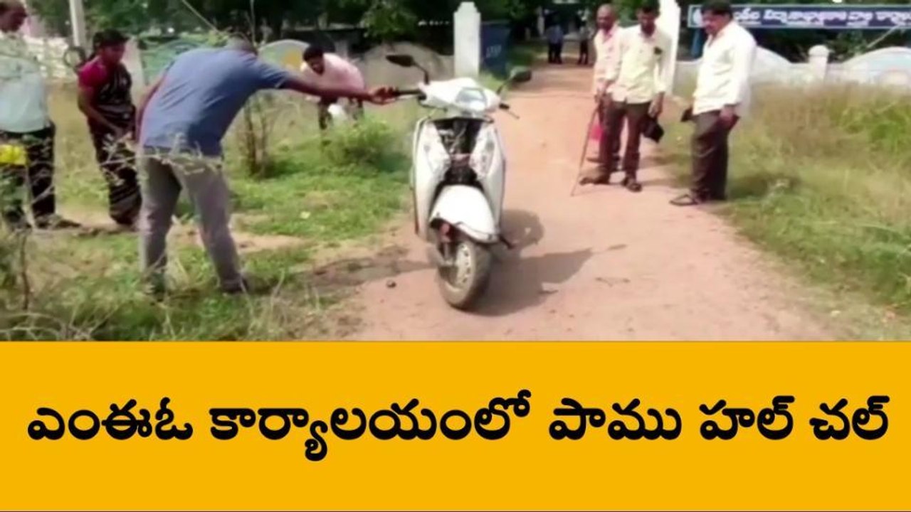 గుంతకల్: పాము హల్ చల్... పరుగులు పెట్టిన అధికారులు