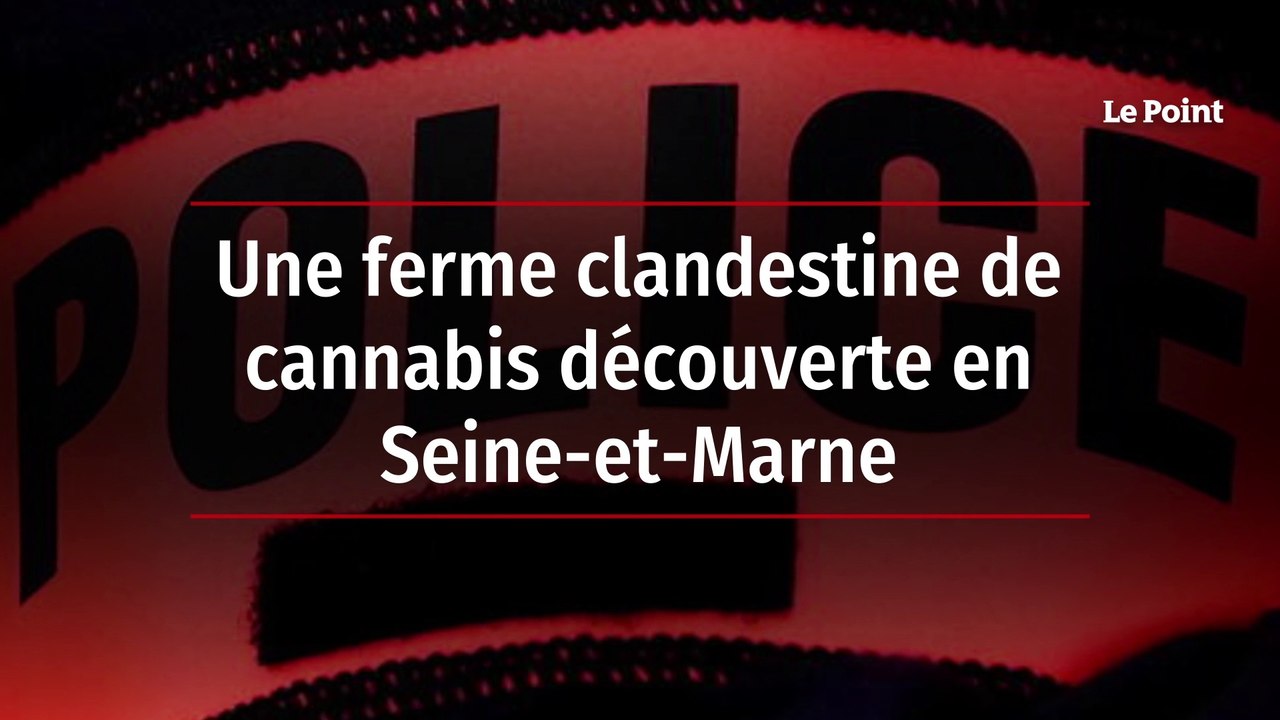 Une ferme clandestine de cannabis découverte en Seine-et-Marne