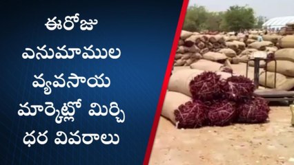 వరంగల్ ఈస్ట్: నిలకడగా ఎర్రబంగారం ధర