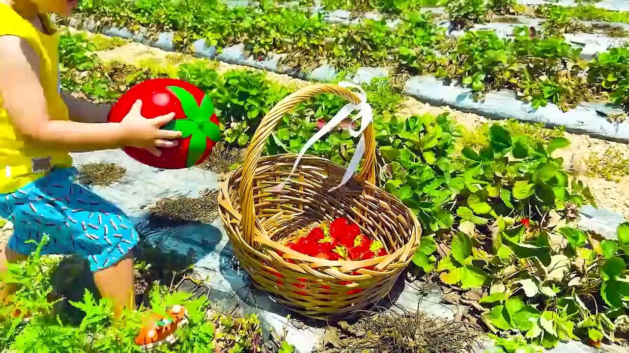 Câu chuyện cho trẻ em về một trang trại hoa hướng dương và dâu tây với mẹ và Chris - Vlad and Nikita New Episodes 2023 videos for kids - Vlad and Niki YouTube new series 2022