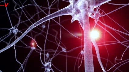 New Spinal Cord Therapy Restores the Ability to Walk In Those With Paralysis