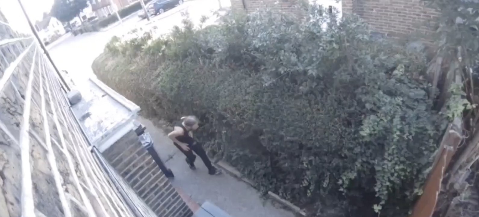 Burglar who grabbed keys through cat flap caught on CCTV by owners