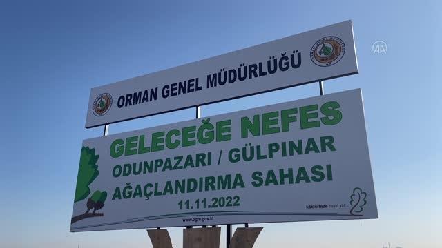 Milli Ağaçlandırma Günü nde fidanlar toprakla buluşturuldu