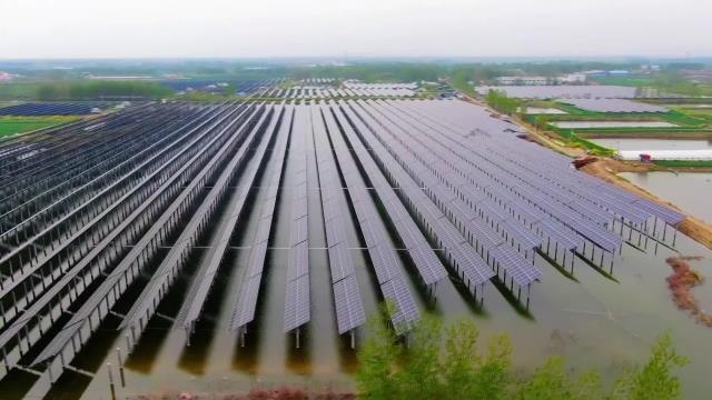 Iea İcra Direktörü: Çin Küresel Karbon Emisyonlarının Azaltılmasına Muazzam Katkı Sağlıyor