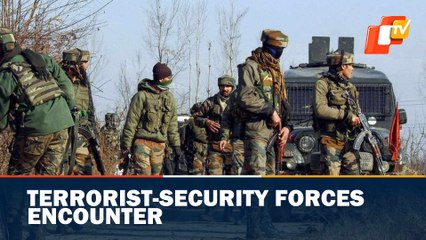 Encounter Between Security Forces & Terrorists In Shopian, J&K