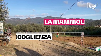 "La Mammoletta": una storia di accoglienza e rinascita all'Isola d'Elba