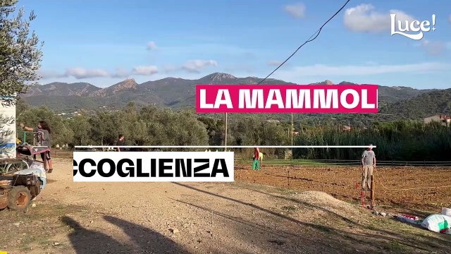 La Mammoletta : una storia di accoglienza e rinascita all'Isola d'Elba