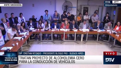 Diputados: dictamen de mayoría al proyecto de alcohol cero al volante