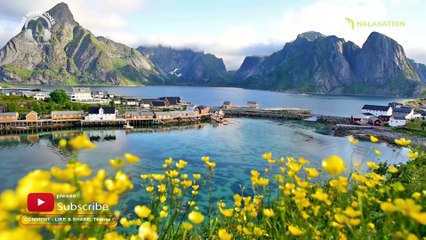 3 Hours of River Flows in You Beautiful Relaxing Music