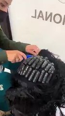 Narcocreatividad: mujer llevaban 2 kilos de droga en su cabeza