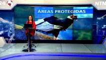 AVES EN RIESGO