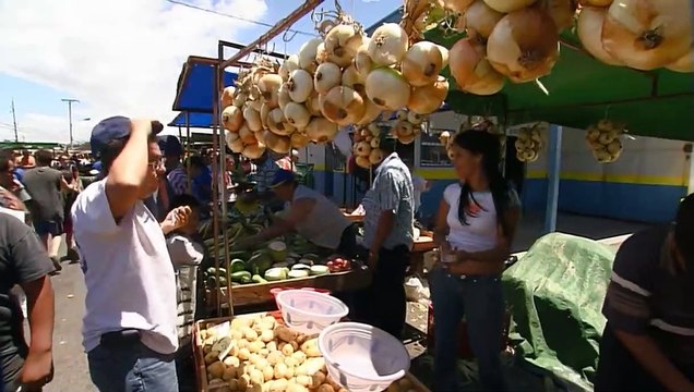 Costa Rica - Biodiversity in its most beautiful form