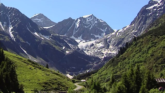 The Golden Eagle - King of the air with razor-sharp claws