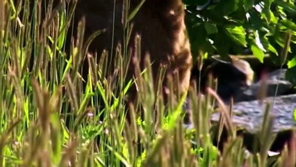 The most dangerous moments - When film makers risk their lives