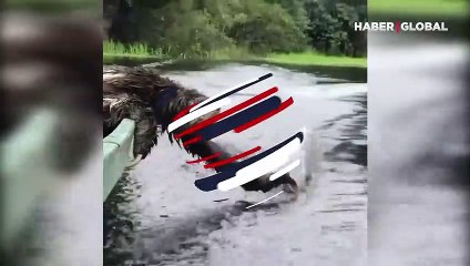 Botta keyif yaparken görüntülendi