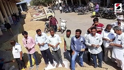 જામનગર હાપા યાર્ડમાં 96,250 મણની આવક ઐતિહાસિક રૂા.250 ભાવ