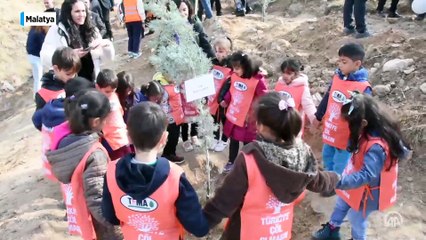 Cumhurbaşkanı Erdoğan başlatmıştı: Türkiye Yüzyılına nefes olacak milyonlarca fidan toprakla buluştu