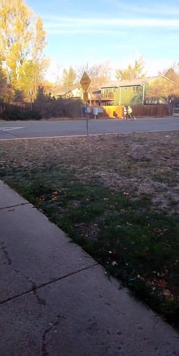 When There's No Snow, Be Creative