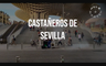 Castañeros de Sevilla: Juan, Macarena, Javier, Pedro y Juan