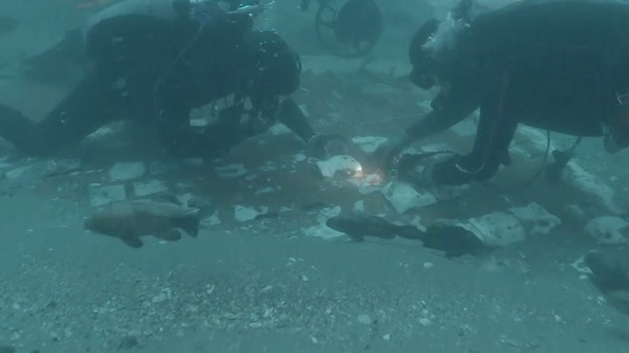 Moment divers find Challenger shuttle wreckage 37 years after Nasa tragedy
