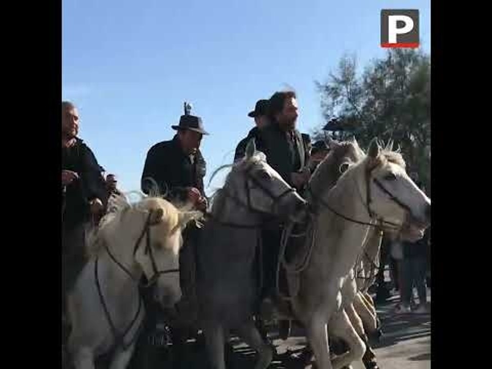 Abrivado aux Saintes-Marie-de-la-Mer ce matin