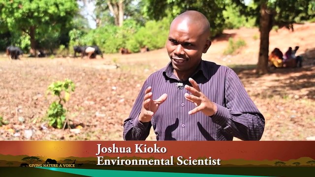 Giving Nature A Voice - Sandstorms - Kenya's Environmental Catastrophe