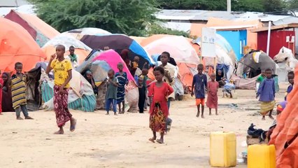 Doğu Afrika’da kuraklık 36,1 milyon kişiyi etkiledi