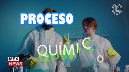 ¿TE GUSTARÍA CONVERTIRTE EN LÍQUIDO DESPUÉS DE LA VIDA?   TE PLATICAMOS SOBRE LA AQUAMACIÓN