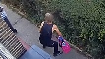 Moment burglar crawls through bush before snatching handbag through cat flap