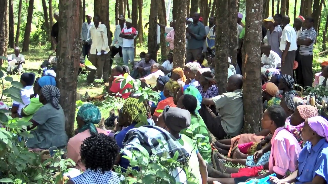 Giving Nature A Voice - Saving Kakamega - Kenya's Only Rainforest