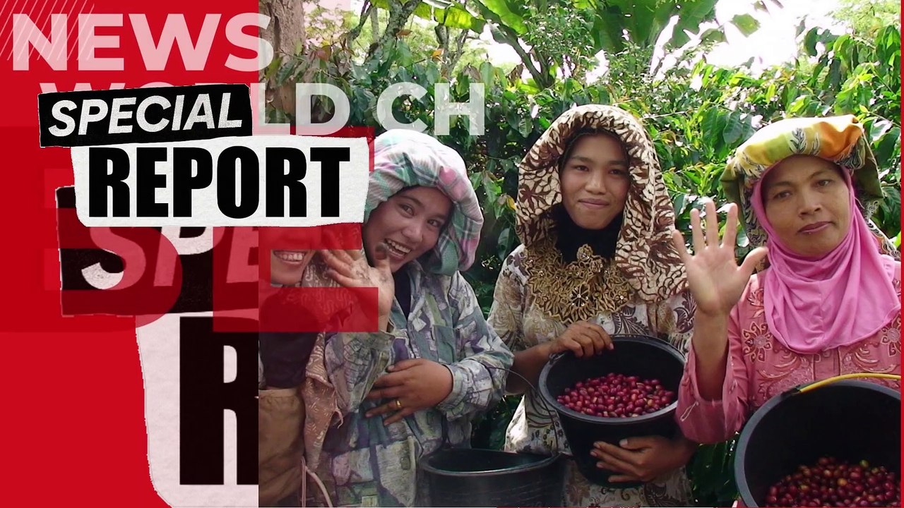 The world strongeast coffee indonesia north sumatera