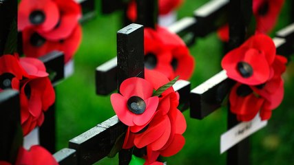 Nation falls silent to mark Armistice Day across UK
