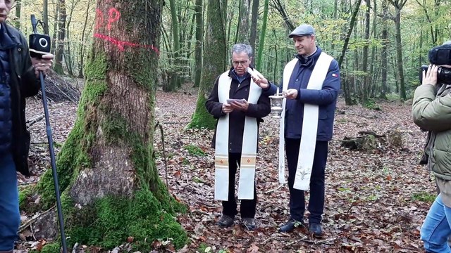 Orne : J'ai déjà bénis des maisons, mais des arbres jamais ! : en forêt d'Ecouves, une cérémonie exceptionnelle