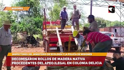 Decomisaron rollos de madera nativa procedentes del apeo ilegal en Colonia Delicia