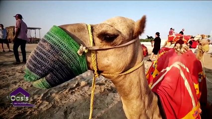 Qatar y las maravillas que ofrece en medio del desierto