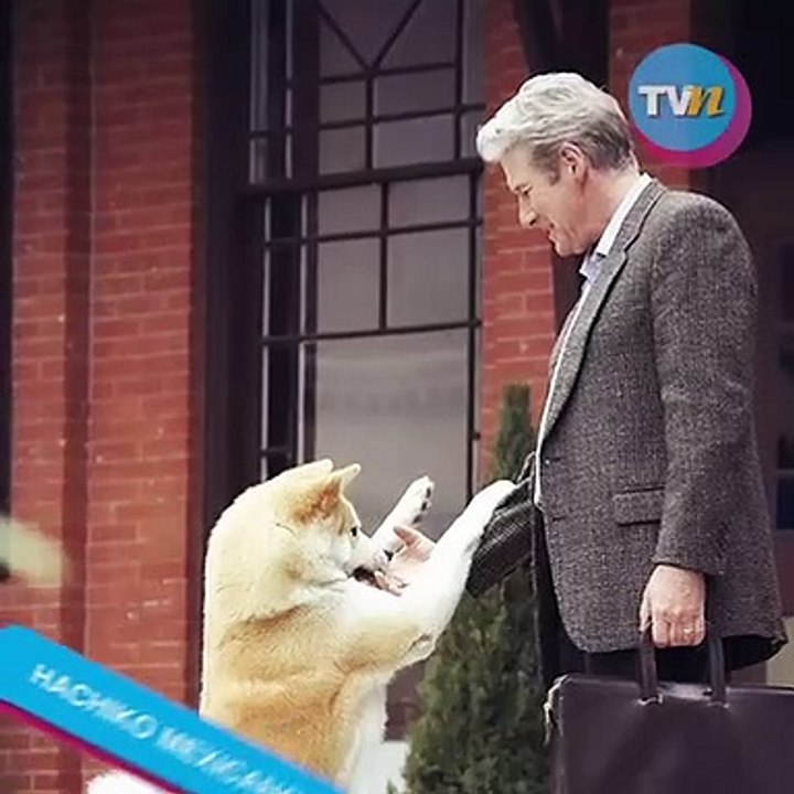 “Hachiko mexicano”
