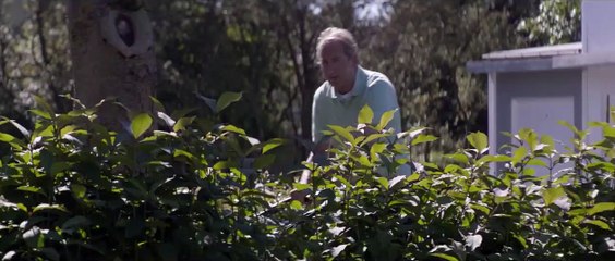 Under the Tree Bande-annonce (EN)