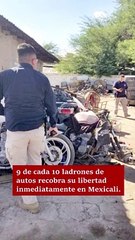 Libres, 9 de cada 10 ladrones de autos en Mexicali.