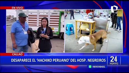 El ‘Hachiko peruano’ desapareció y temen que lo usen para actividades ilícitas