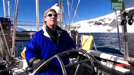 Crocodile Hunter Staffel 6 Folge 5 HD Deutsch