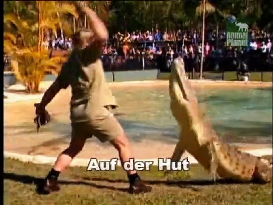 Crocodile Hunter Staffel 7 Folge 3 HD Deutsch