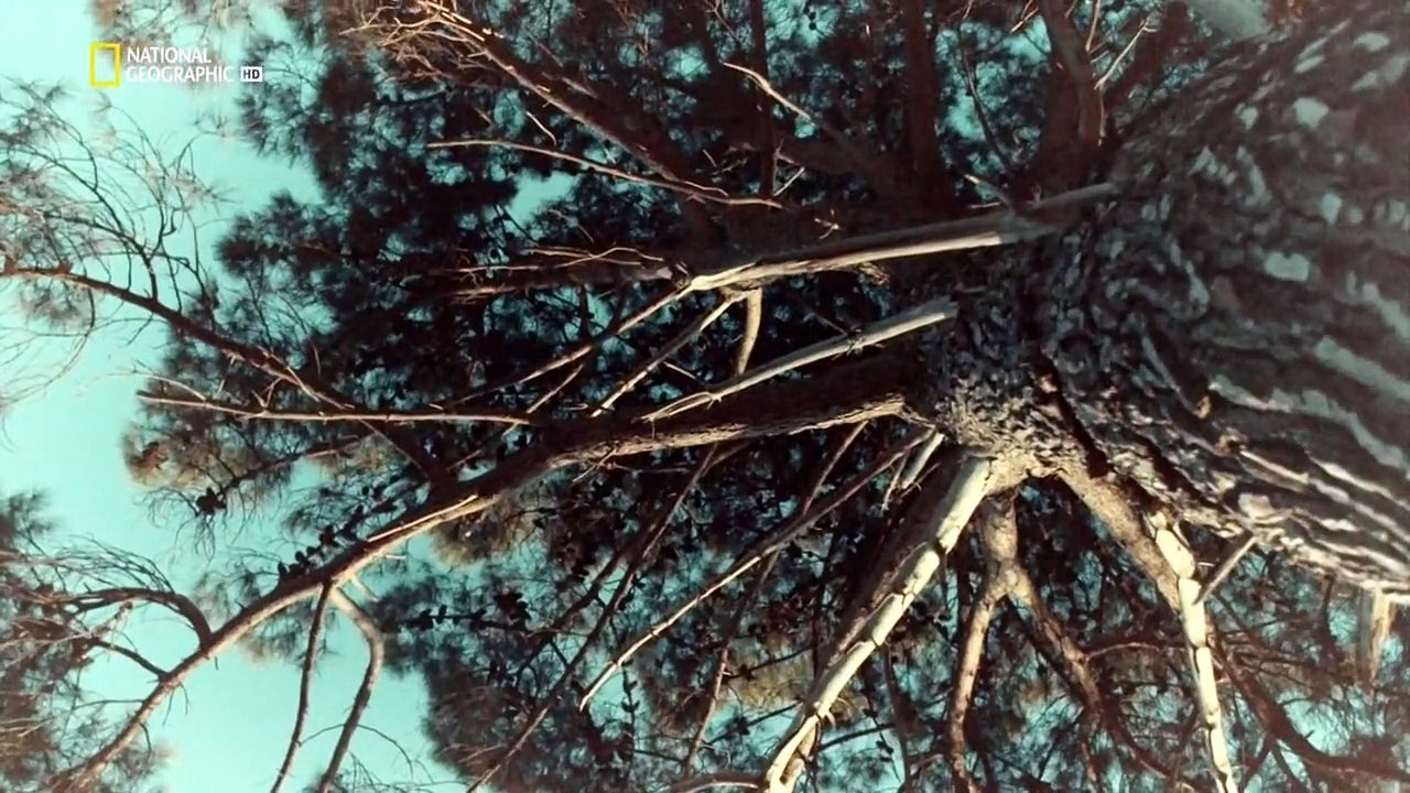 No Man Left Behind Staffel 1 Folge 6 HD Deutsch