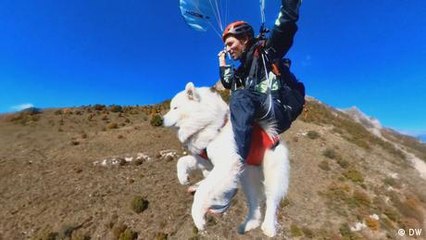 Ouka, der fliegende Hund in den Alpen