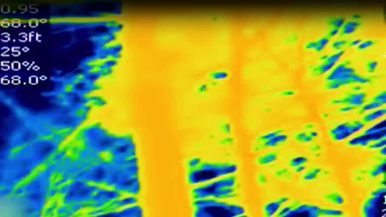 Die Monster-Jäger - Bestien auf der Spur Staffel 1 Folge 13 HD Deutsch