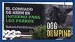 'Aggressive' billboard campaign brings awareness to animal welfare in Bakersfield