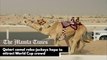 Qatari camel robo-jockeys hope to attract World Cup crowd