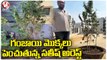 Police Arrest Satish Growing Ganja Plant In House | Hyderabad | V6 News