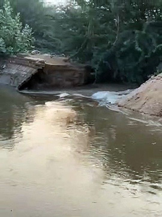 गंगनहर की करणी जी वितरिका 13 जीबी के पास टूटी,स...