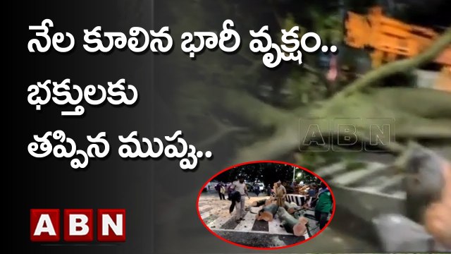 తిరుమలలో నేల కూలిన భారీ వృక్షం.. భక్తులకు తప్పిన ముప్పు.. | Tirumala | ABN Telugu